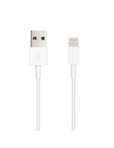 CABLE LIGHTNING A USB 2.0 NANOCABLE A/M 2M