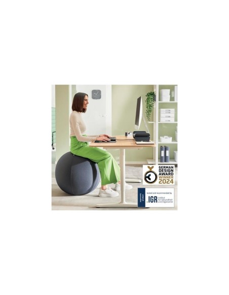 ASIENTO BALON LEITZ ANTIDESLIZANTE ERGO ACTIVE 55CM GREY
