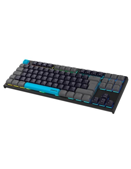 TECLADO PHOENIX ROYAL GAMING MECANICO USB RGB BLACK