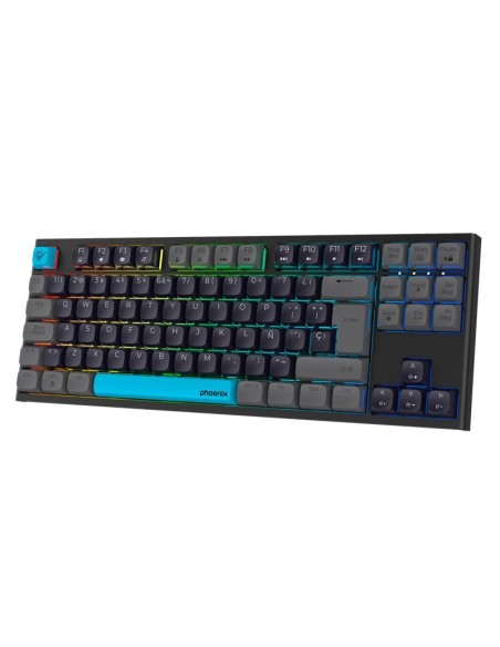 TECLADO PHOENIX ROYAL GAMING MECANICO USB RGB BLACK